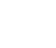 Technology Strategy Consulting